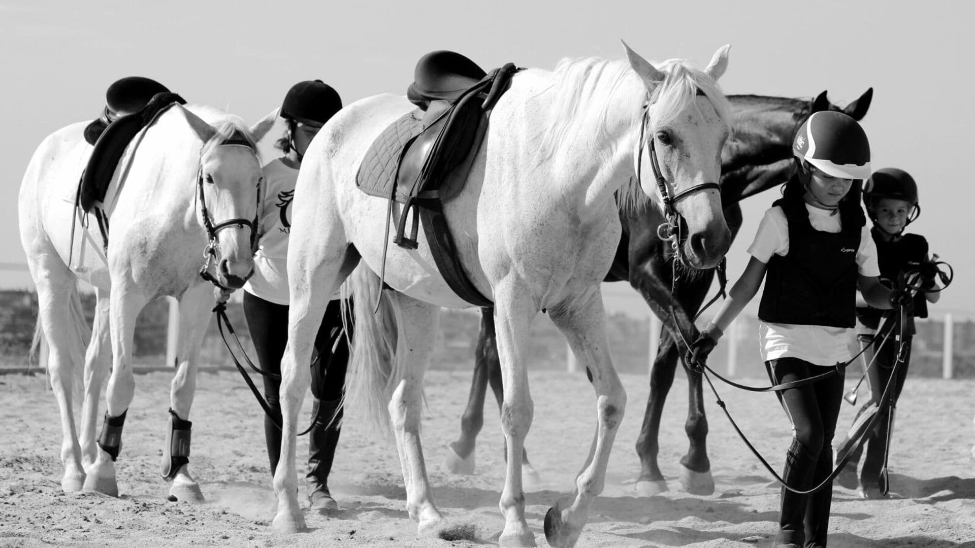 Clases de Equitación