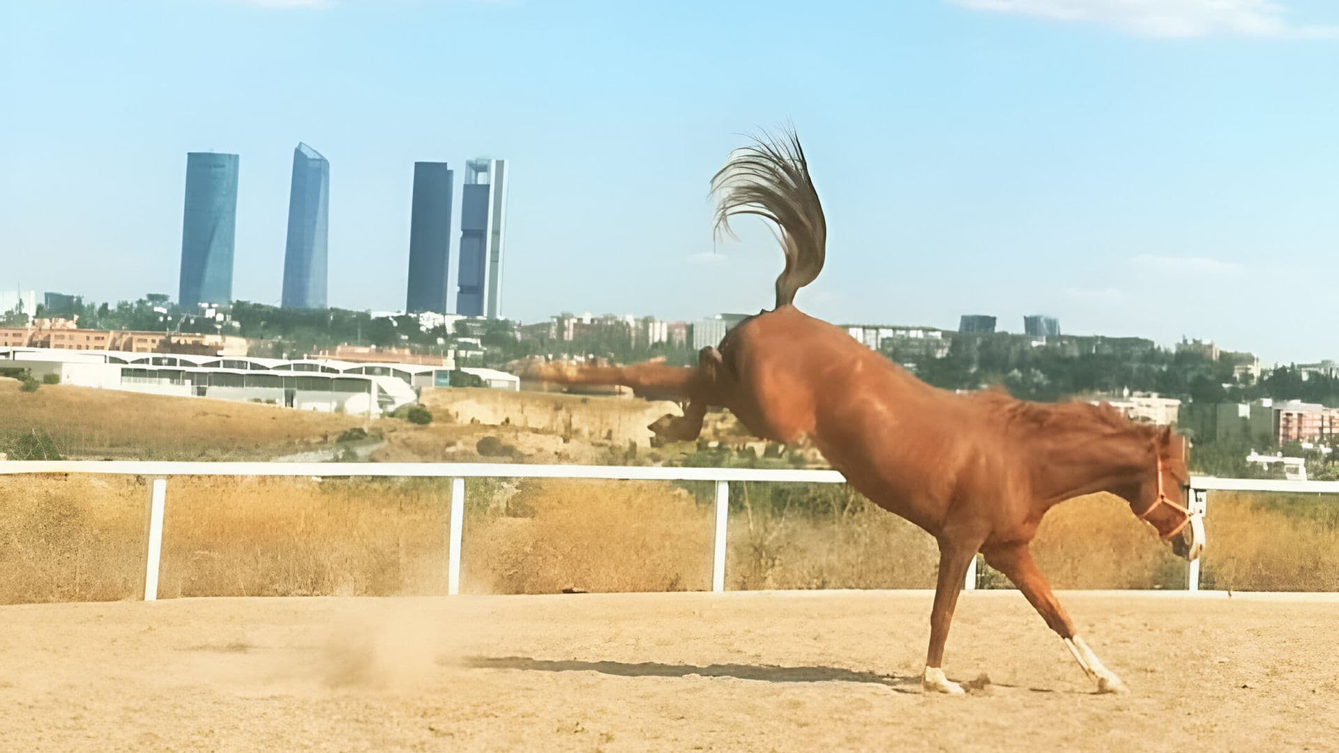 Entorno natural del centro hipico