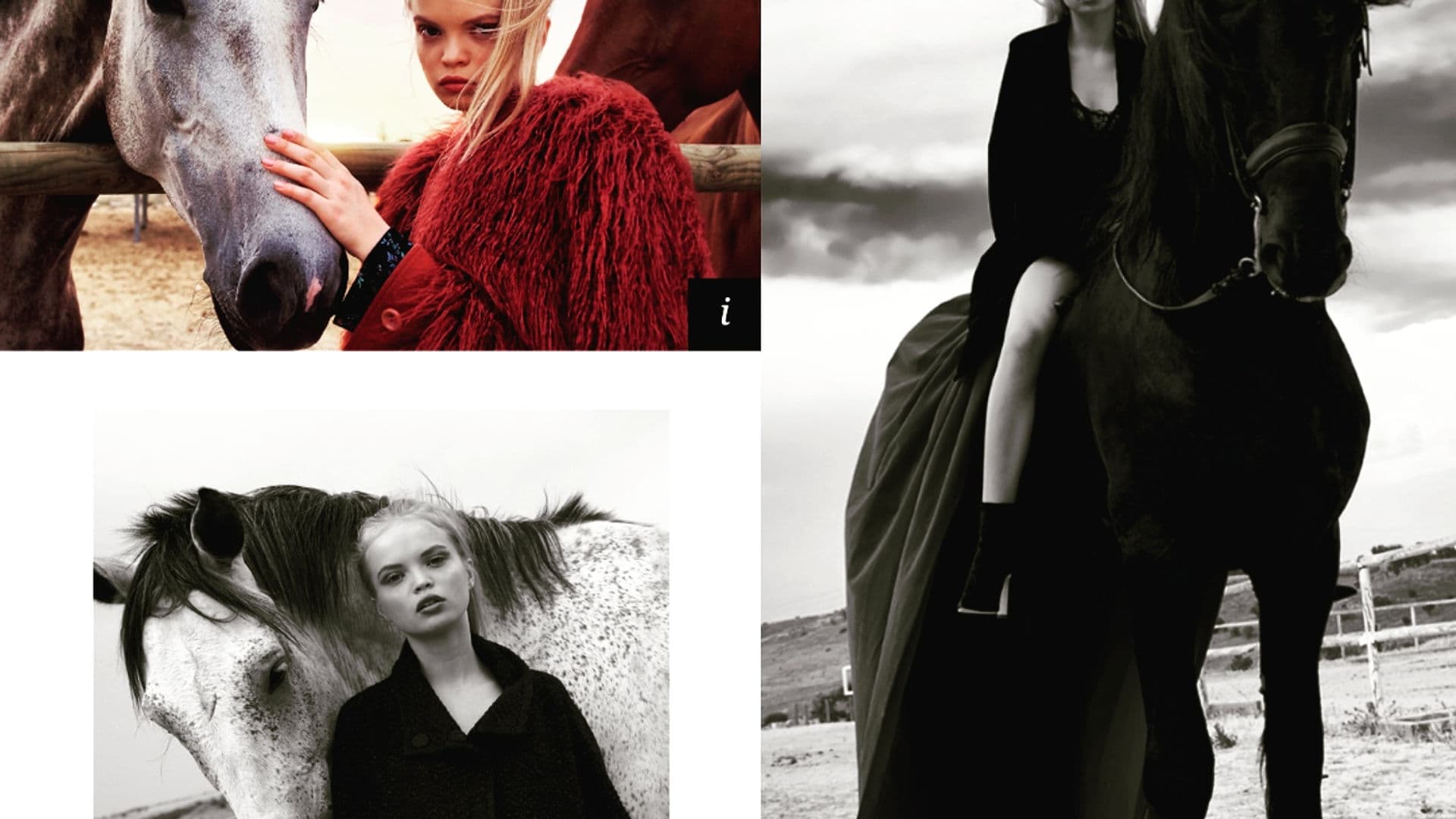 Sesión de fotografía